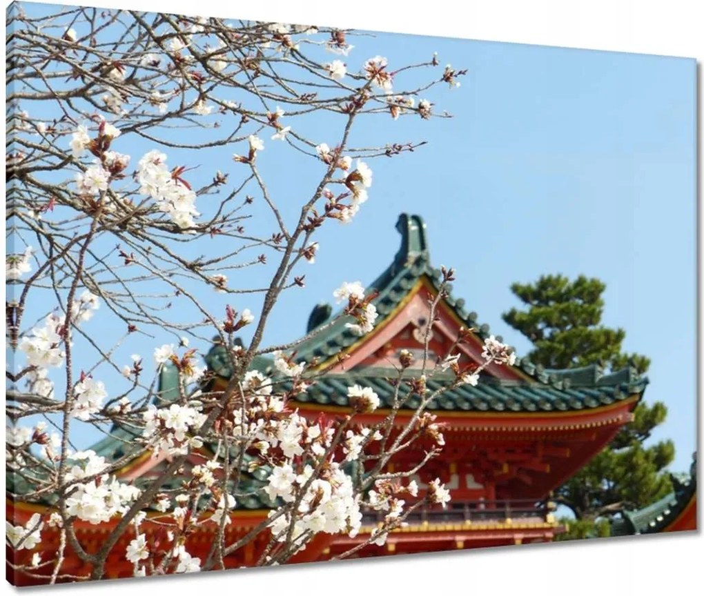 Vászonkép 80x60 Virágzó cseresznye Japánban