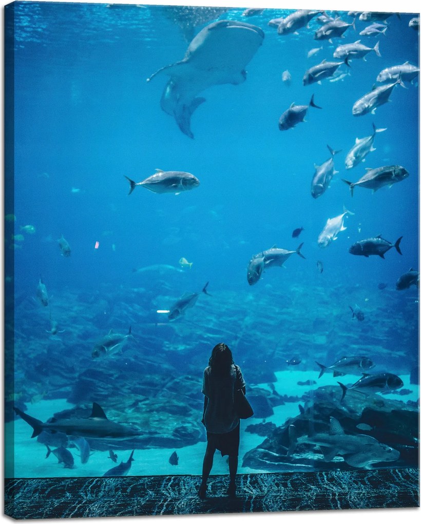 Vászonkép Emberek Akvárium Víz Tengeri Óceán Élet 40x50 cm