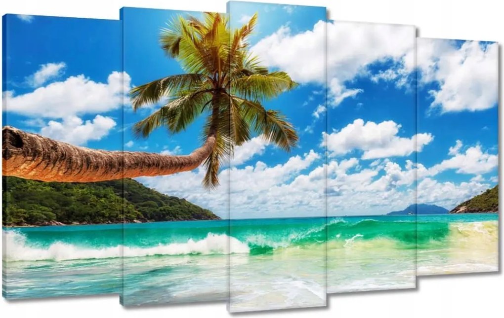 Vászonkép 100x60 Trópusok Tájkép Pálmafák