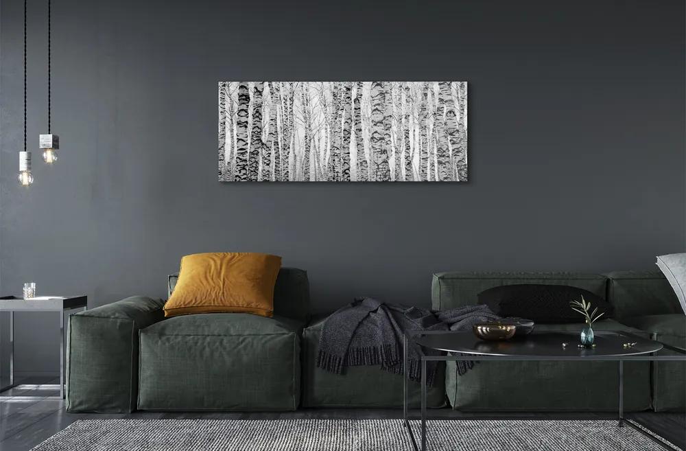 Üvegképek Fekete-fehér nyír 125x50 cm
