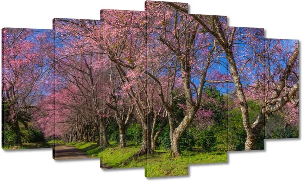 Vászonkép 140x80 Virágzó cseresznye