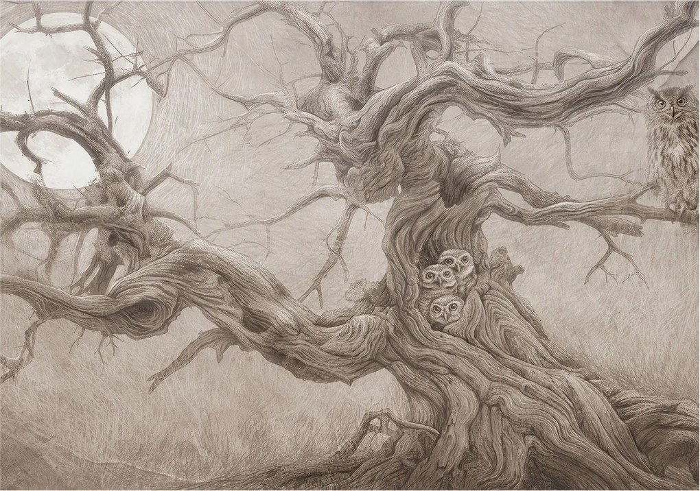 Fotótapéta Flizelina Nappali és Hálószoba Éjjeli madarak 312x219 Ragasztó