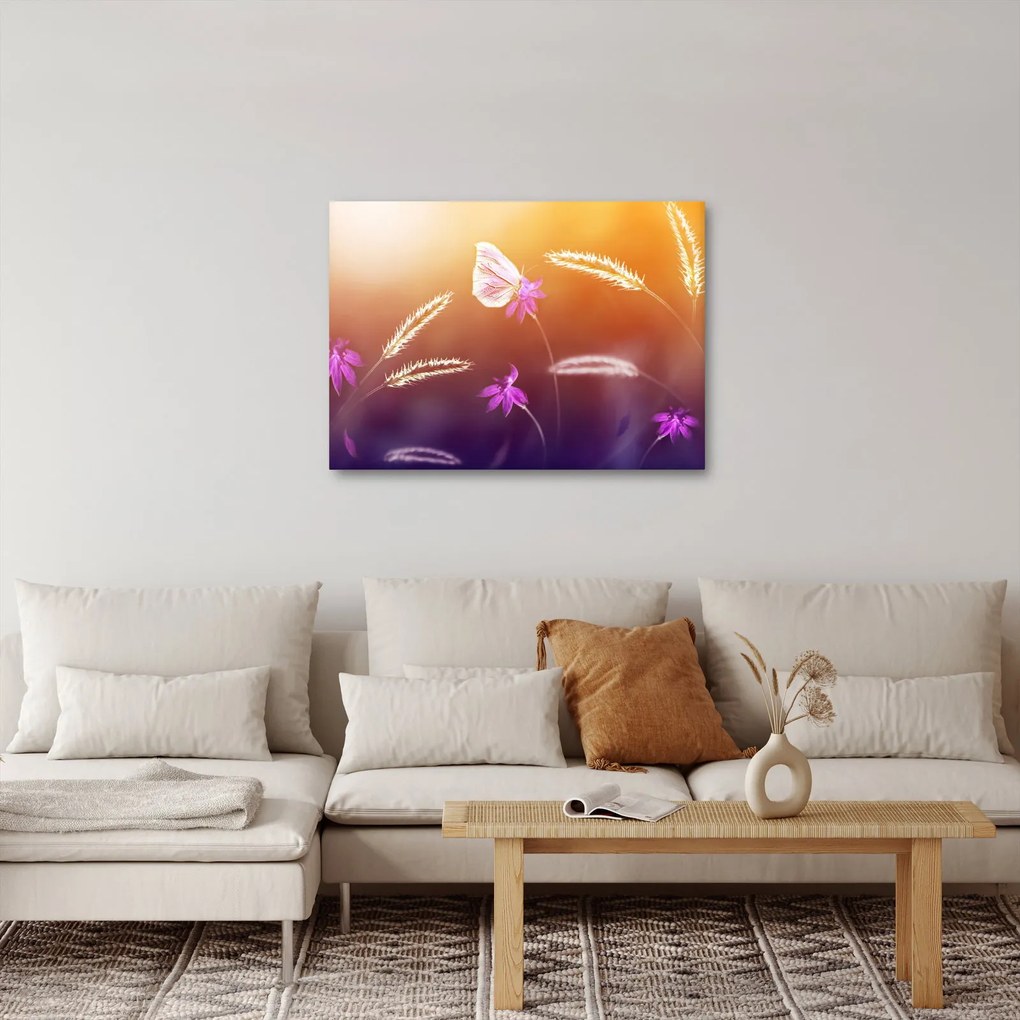 Kép - Rózsaszín pillangó (70x50 cm)