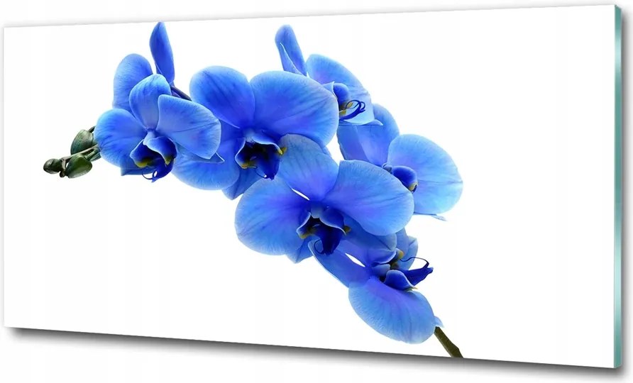 Fotó kép edzett üveg Fehér orchidea 100x70