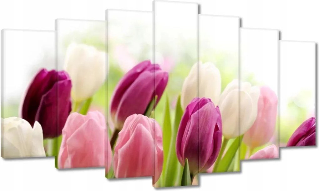 Vászonkép 140x80 Gyönyörű tulipánok