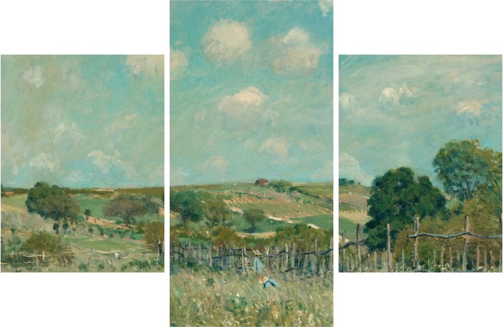 Kép - Alfred Sisley, Meadow, reprodukciók (90x60 cm)