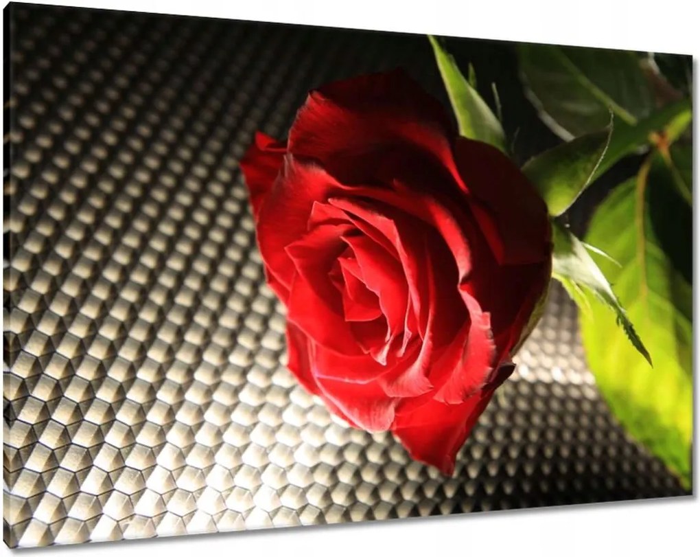 Vászonkép 100x70 Ízléses rózsa ajándékba