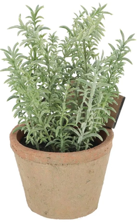 Műnövény (magasság 21,5 cm) Thyme – Esschert Design