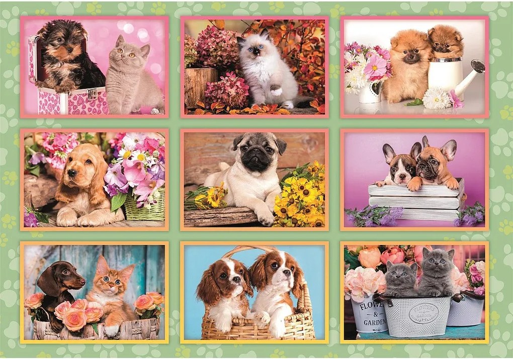 Állatos Puppies Collage 180 db-os puzzle Clementoni