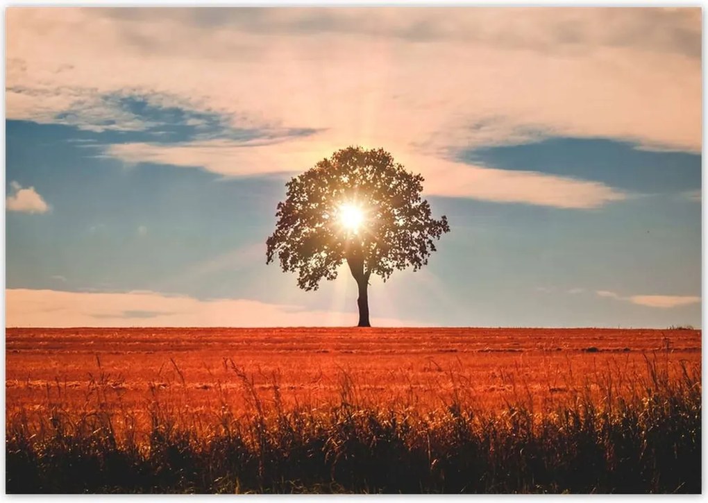 Poszterek 100x70 Kilátás Tájkép