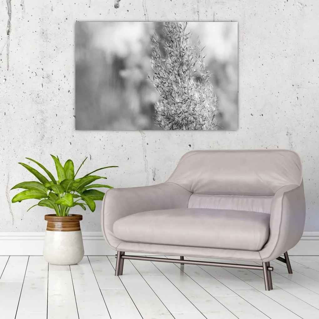 Kép - Boho pampafű (90x60 cm)