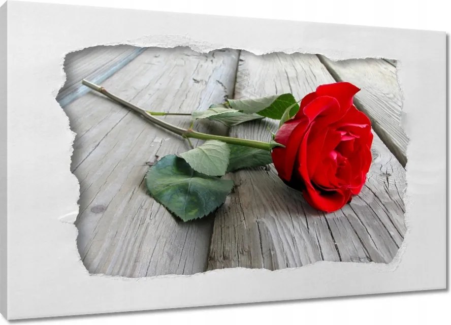 Vászonkép 90x60 Vörös rózsa a deszkákon