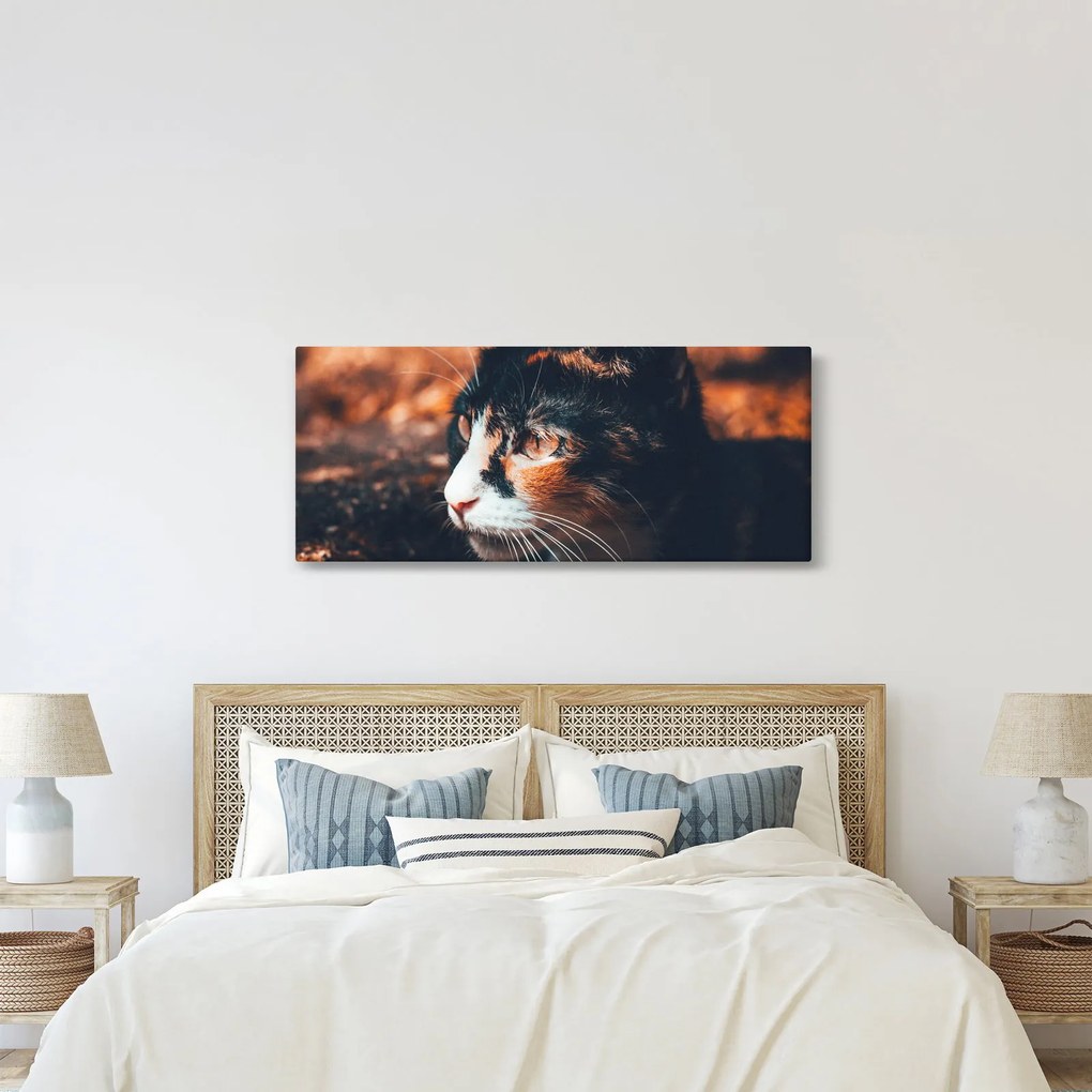 Kép - A macska látképe (120x50 cm)
