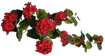 Műgyökér Muscat Red, 68 cm