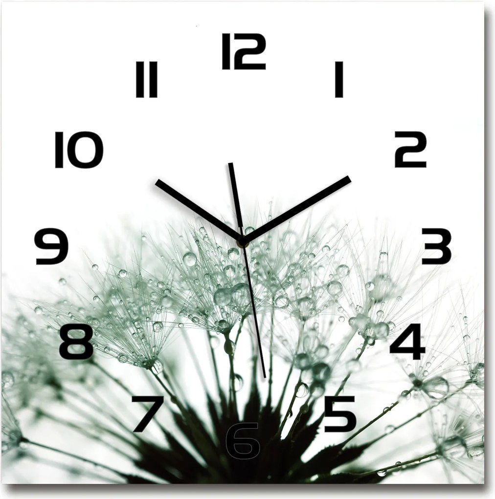 Modern üveg falióra Pitypang mag 60x60cm