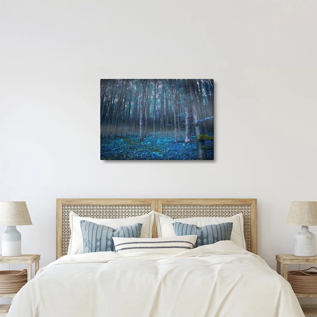 Kép - varázslatos erdő (70x50 cm)