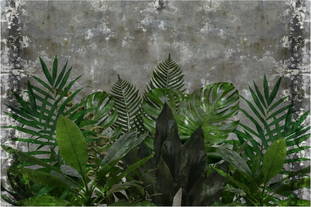 Kép - Betonfal növényekkel (90x60 cm)