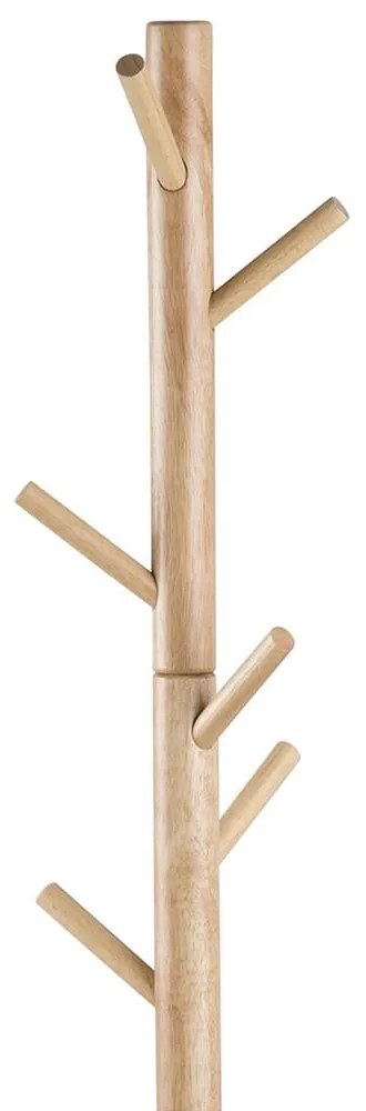 Braven fogas