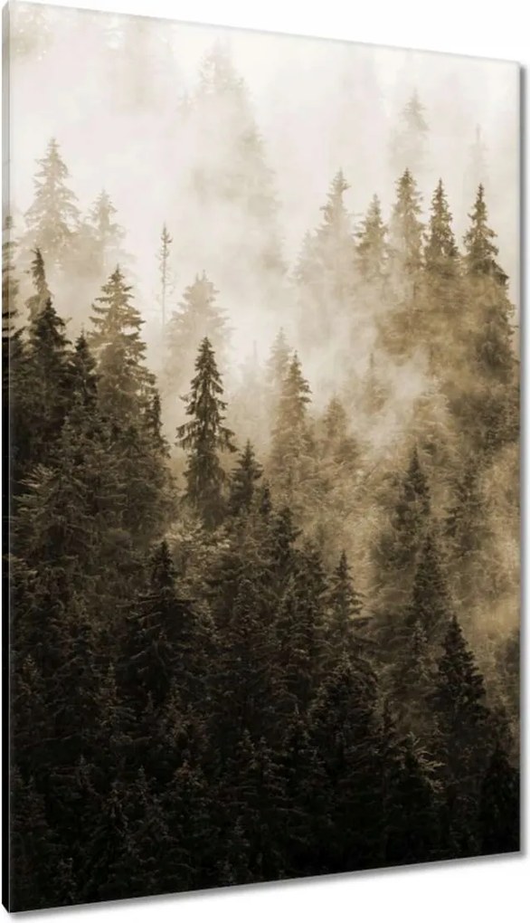 Vászonkép 80x120 Tájkép Szépia Hegyek Köd