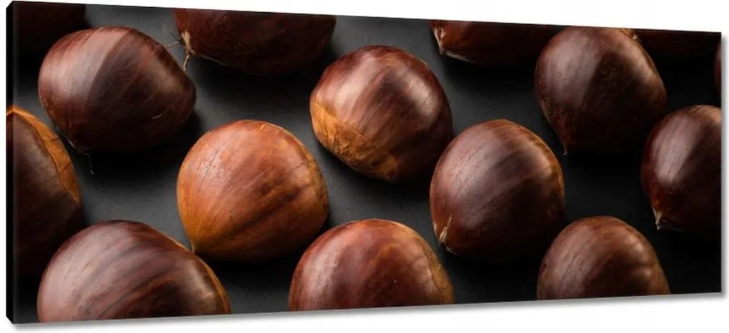 Vászonkép 100x40 Kormány Ehető gesztenye