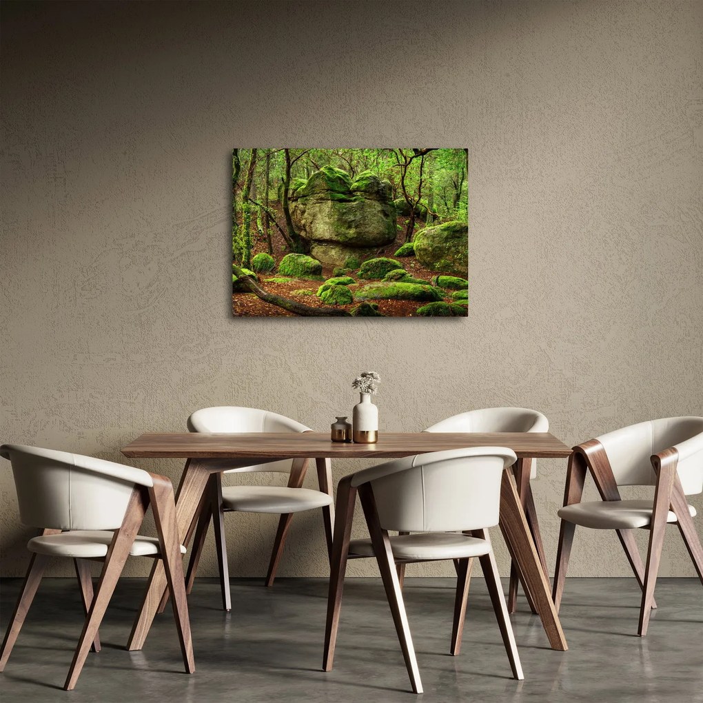 Egy varázslatos erdő képe (70x50 cm)