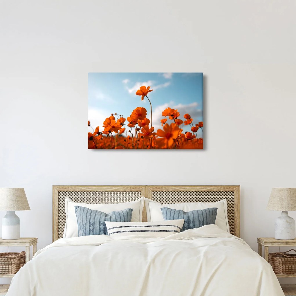 Kép - Réti virágok (90x60 cm)