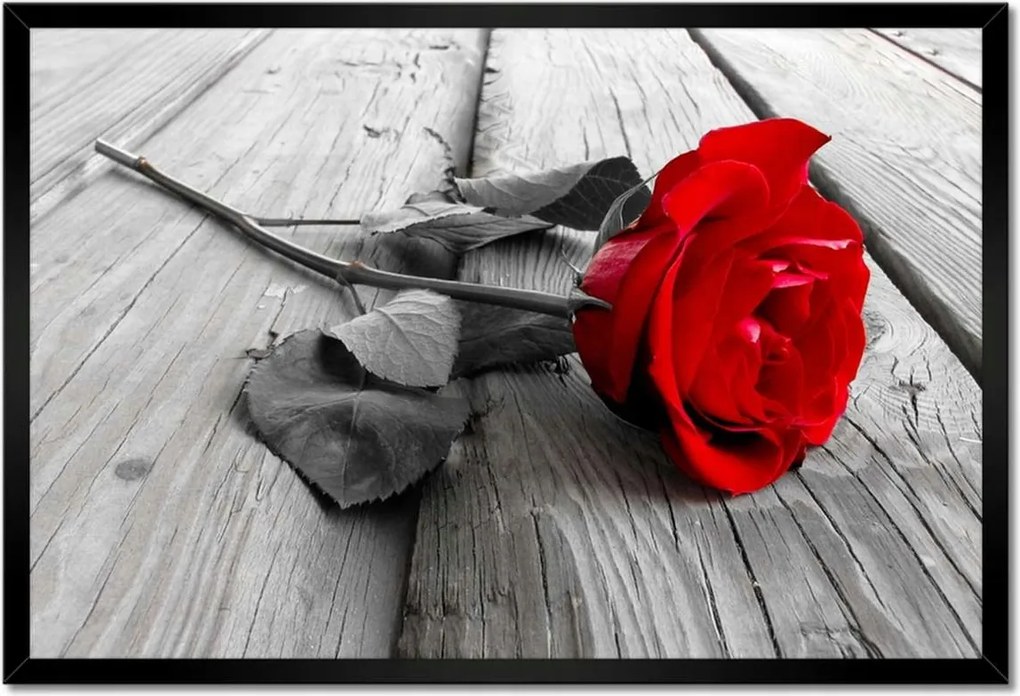 Poszterek keretben 60x40 Vörös rózsa a deszkákon