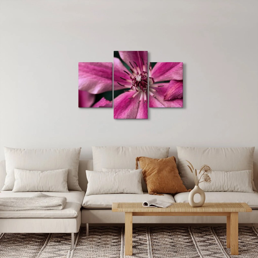 Rózsaszín flamingóvirág képe (90x60 cm)