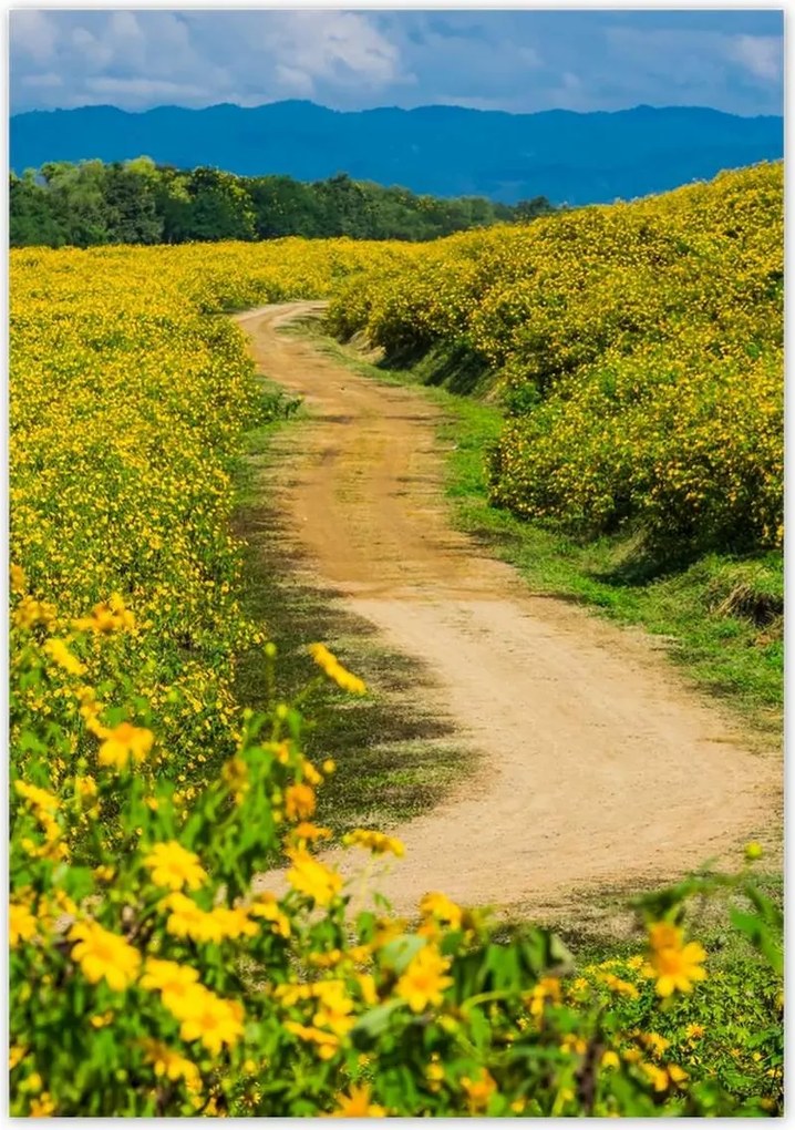 Poszterek 70x100 Falusi tejút