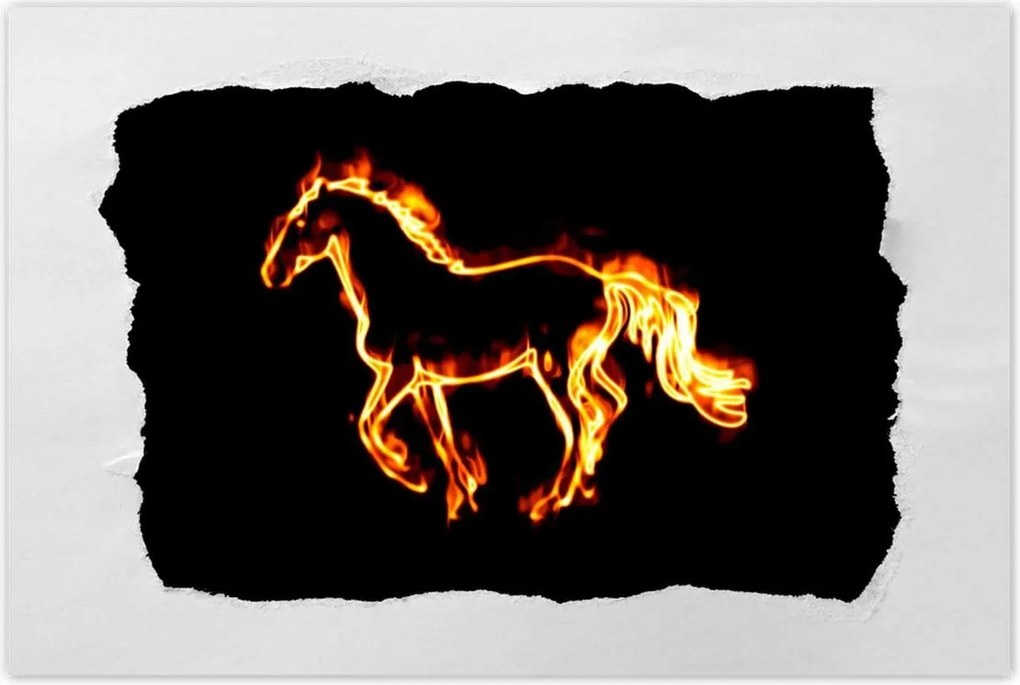 Poszterek 90x60 Tűz paripa