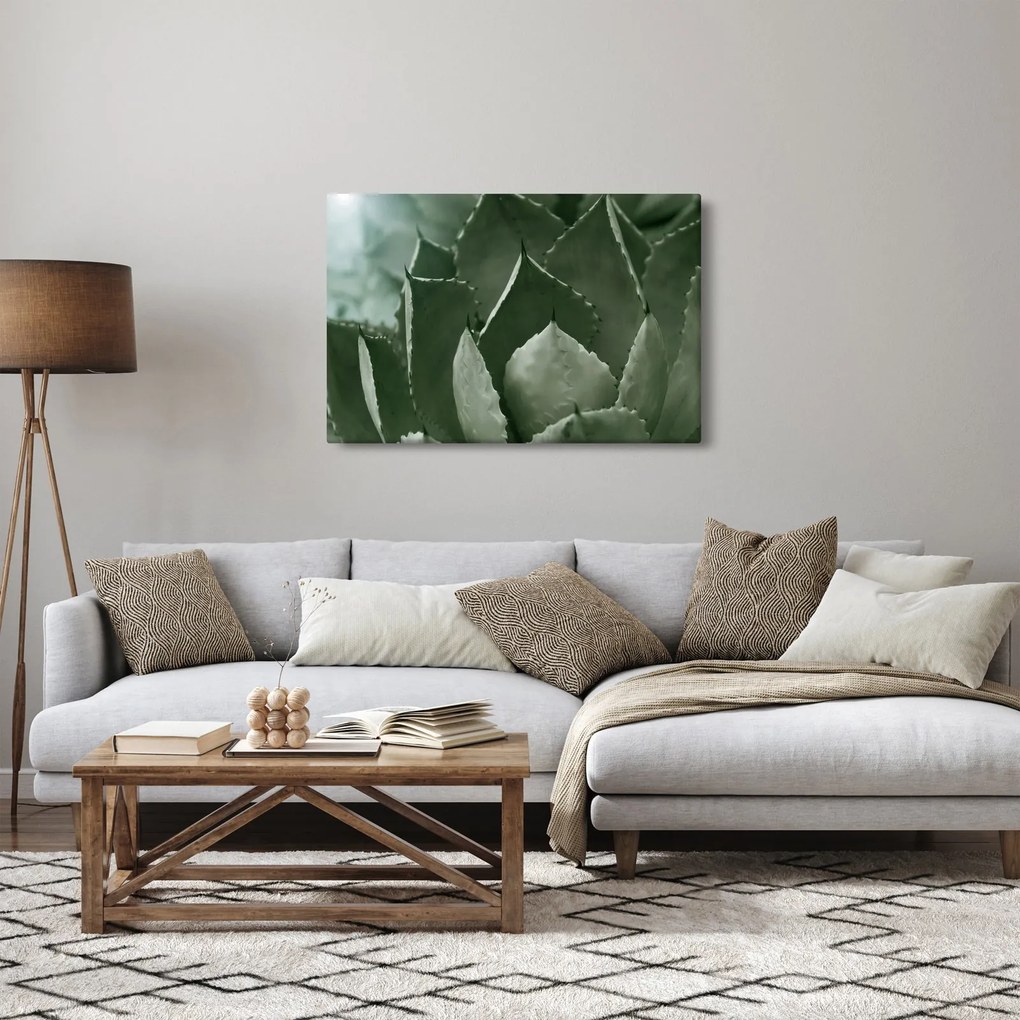 Kép - Zöld agávé (90x60 cm)