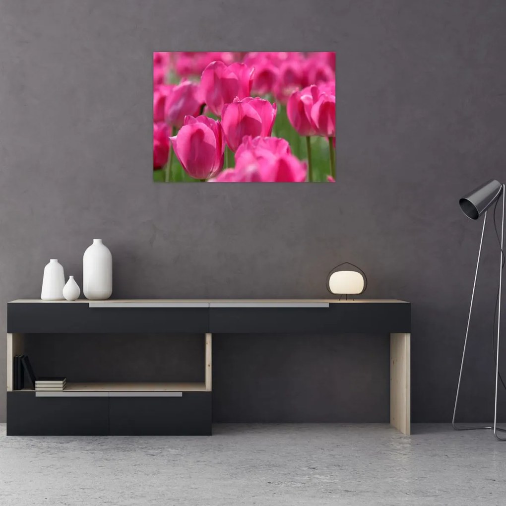 Üveg kép - Rózsaszín tulipánok (70x50 cm)