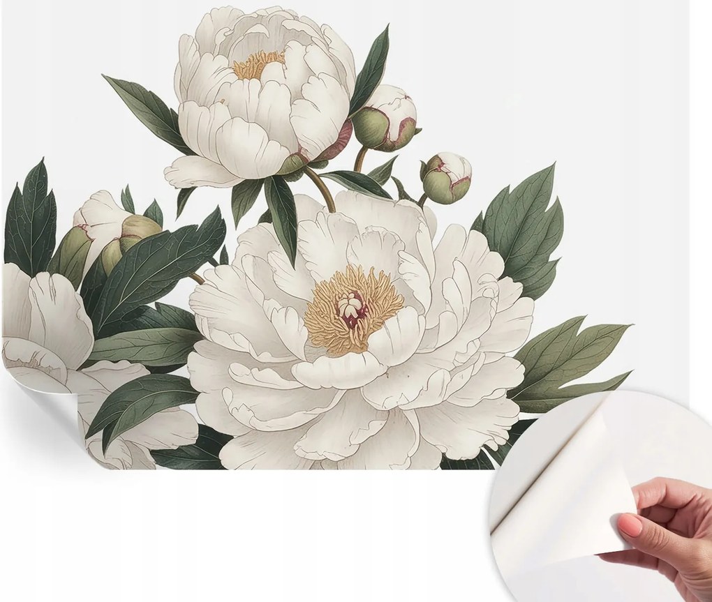 Fotótapéta Fali tapéta Hálószobába és Nappaliba Fehér peonie 152x104 cm