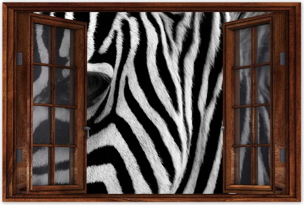 Poszter 60x40 Fekete-fehér csíkos Zebra