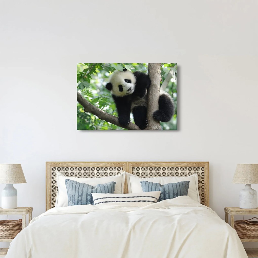 Kép - Panda a fán (90x60 cm)