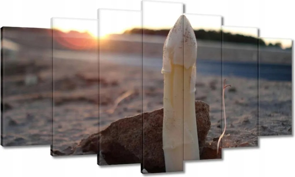 Festmények 140x80 Az első spárga