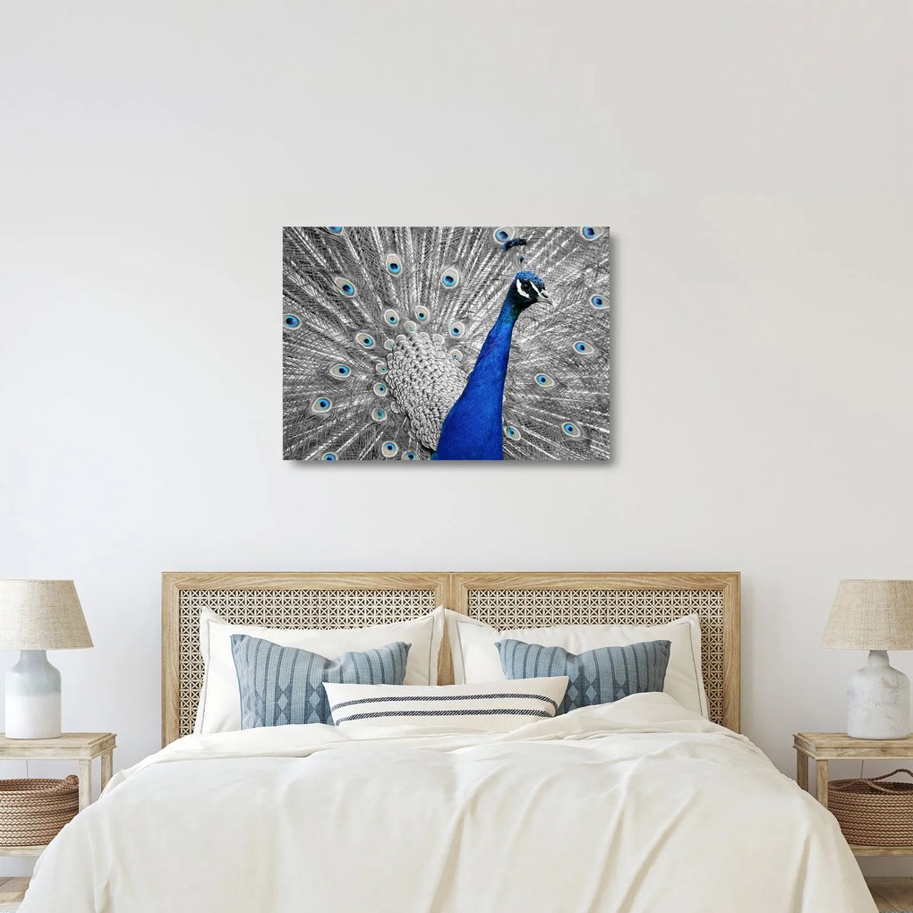 Kék páva képe (üvegen) (70x50 cm)