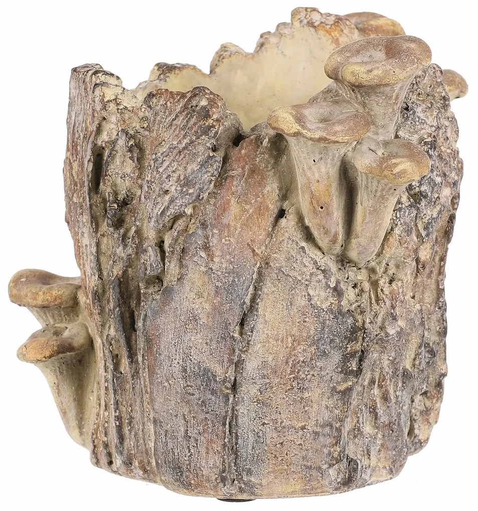 Beton burkolat - tusk with mushrooms, 19 x 17 x 16cm