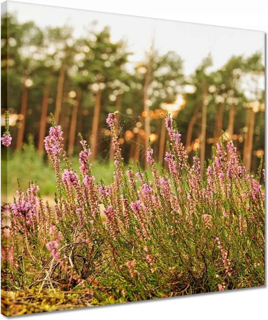 Vászonkép 40x40 Pókhálóval fonott hanga