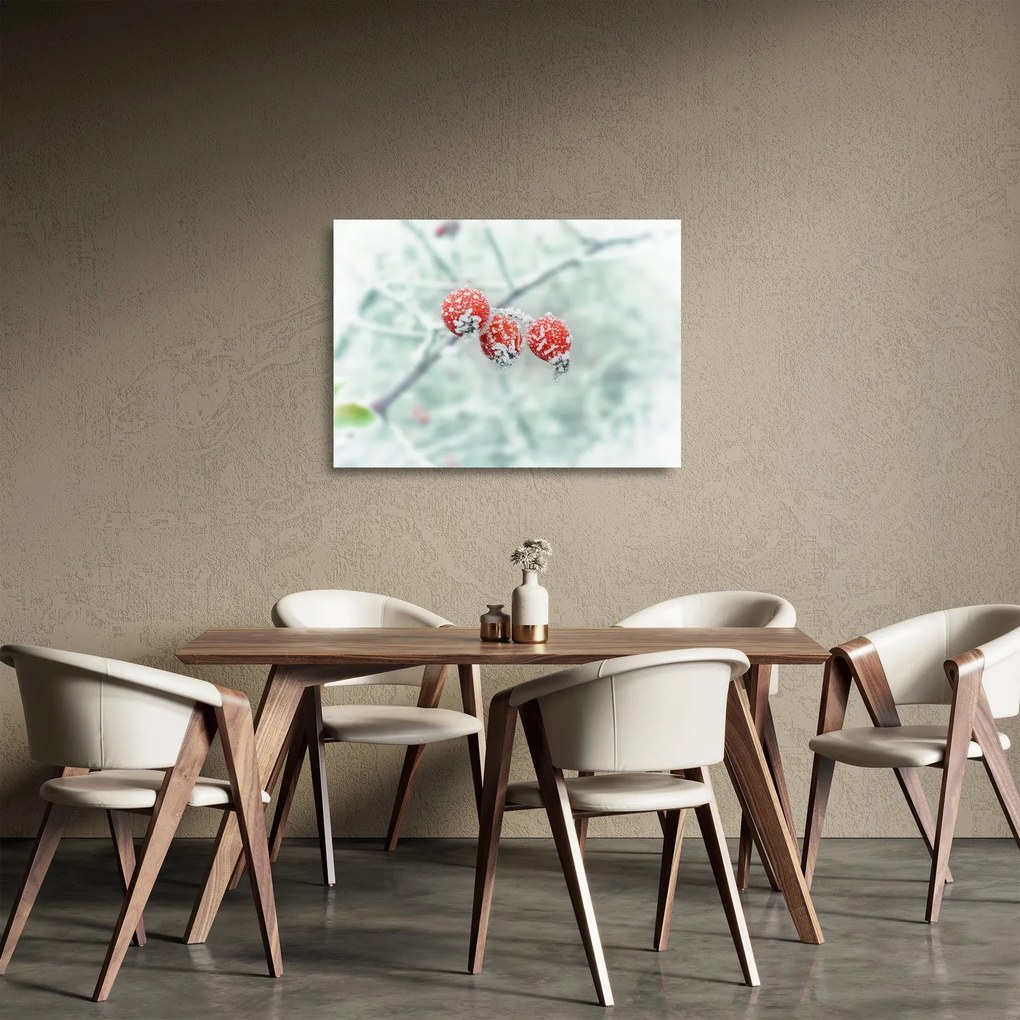 Fagyasztott csipkebogyó képe (üvegen) (70x50 cm)