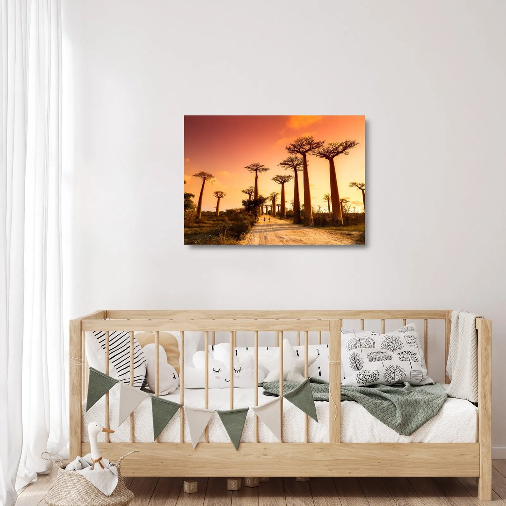 Üveg kép - Naplemente a Baobab Alley-ben (70x50 cm)