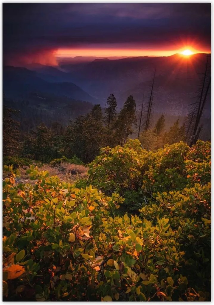 Poszterek 70x100 Kilátás Tájkép