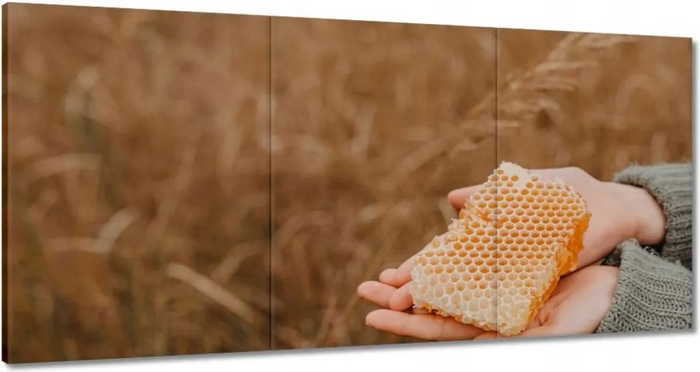 Vászonkép 180x90 Méz Méhészet