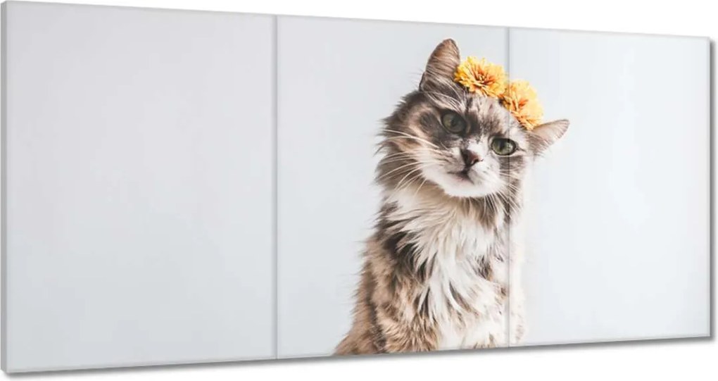 Vászonkép 180x90 Cica Cicák