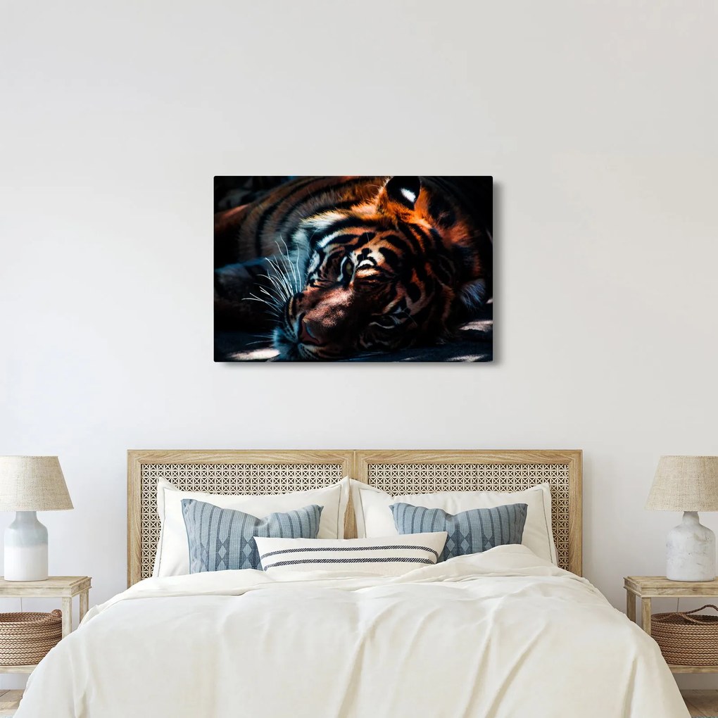 Egy fekvő tigris képe (90x60 cm)