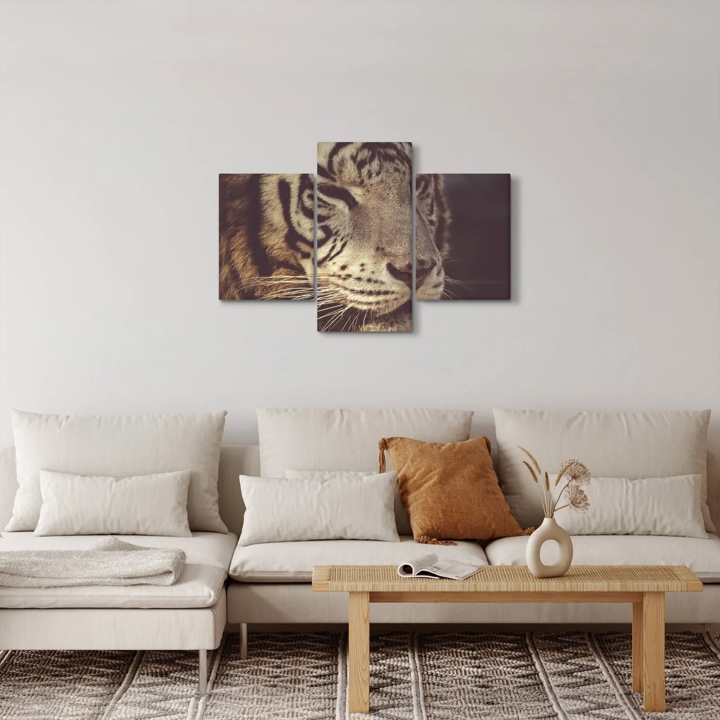 Tigris képe (90x60 cm)