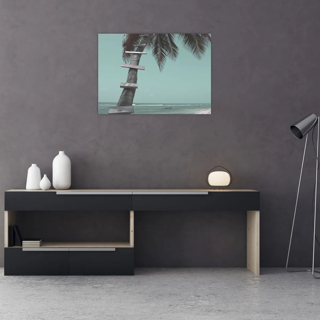 Kép - Palma a Karib-tengeren (70x50 cm)