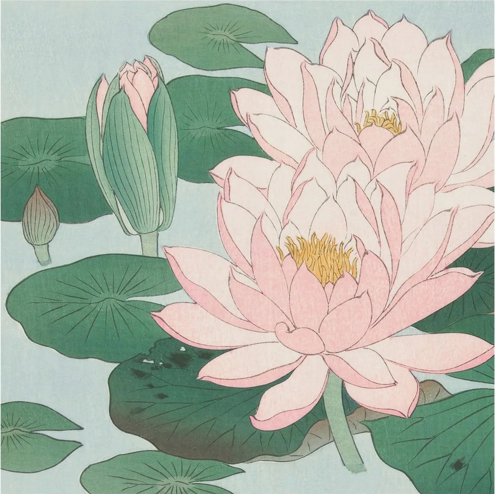 Flizelin Dekoratív fotótapéta Hálószobába Vízi lótusz 250x250 Ragasztó