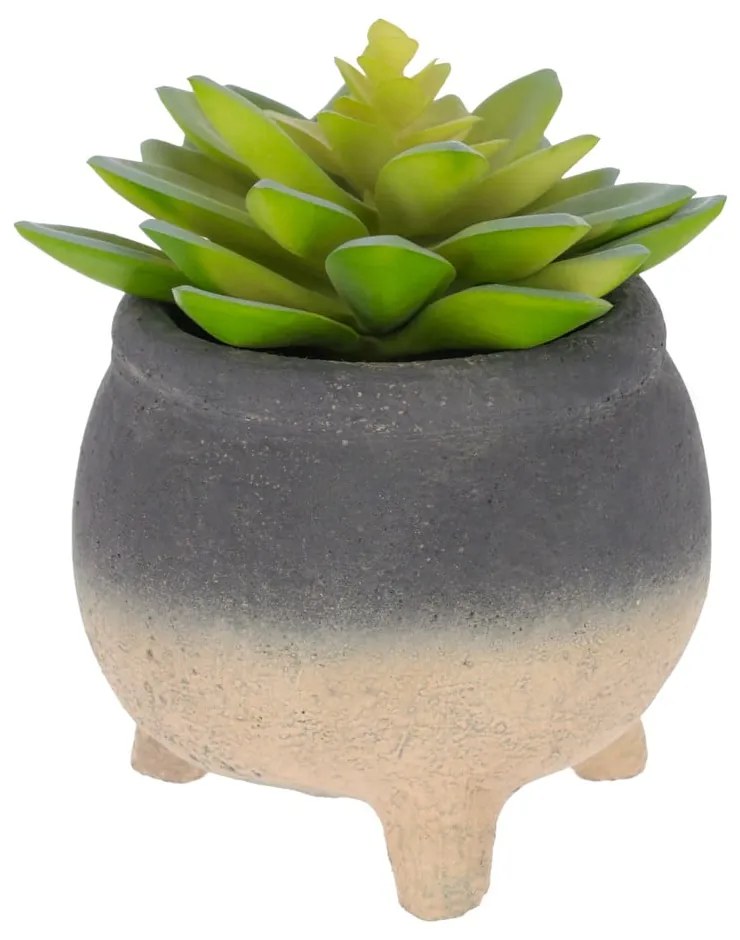 Sedum Lucidum mű pozsgás növény cement virágcserépben - Kave Home
