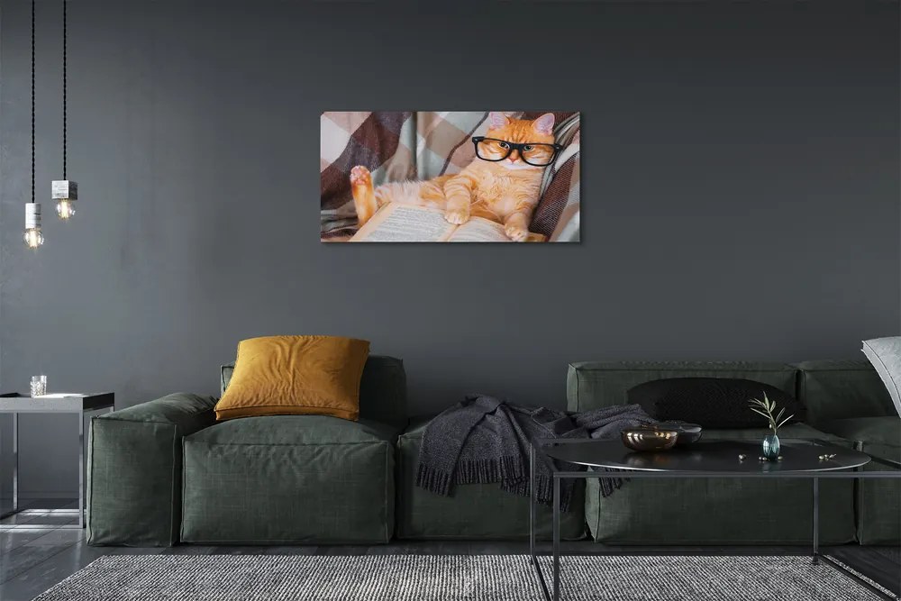Canvas képek Az olvasó macska 120x60 cm